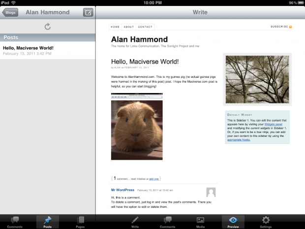 ipad_wpapppreview