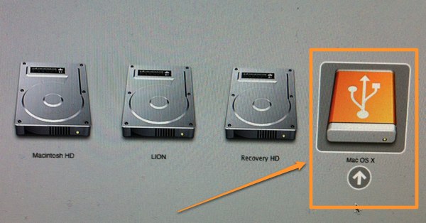 Boot OS X Lion USB.jpg